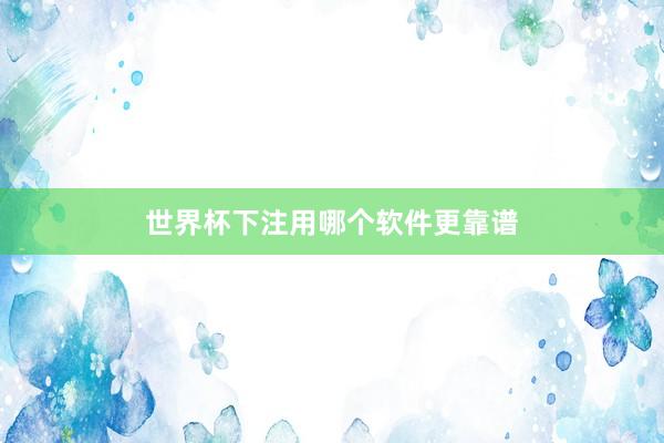 世界杯下注用哪个软件更靠谱